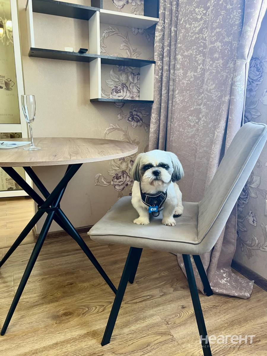 Сдам квартиру-студию, ул. Параллельная, собственник