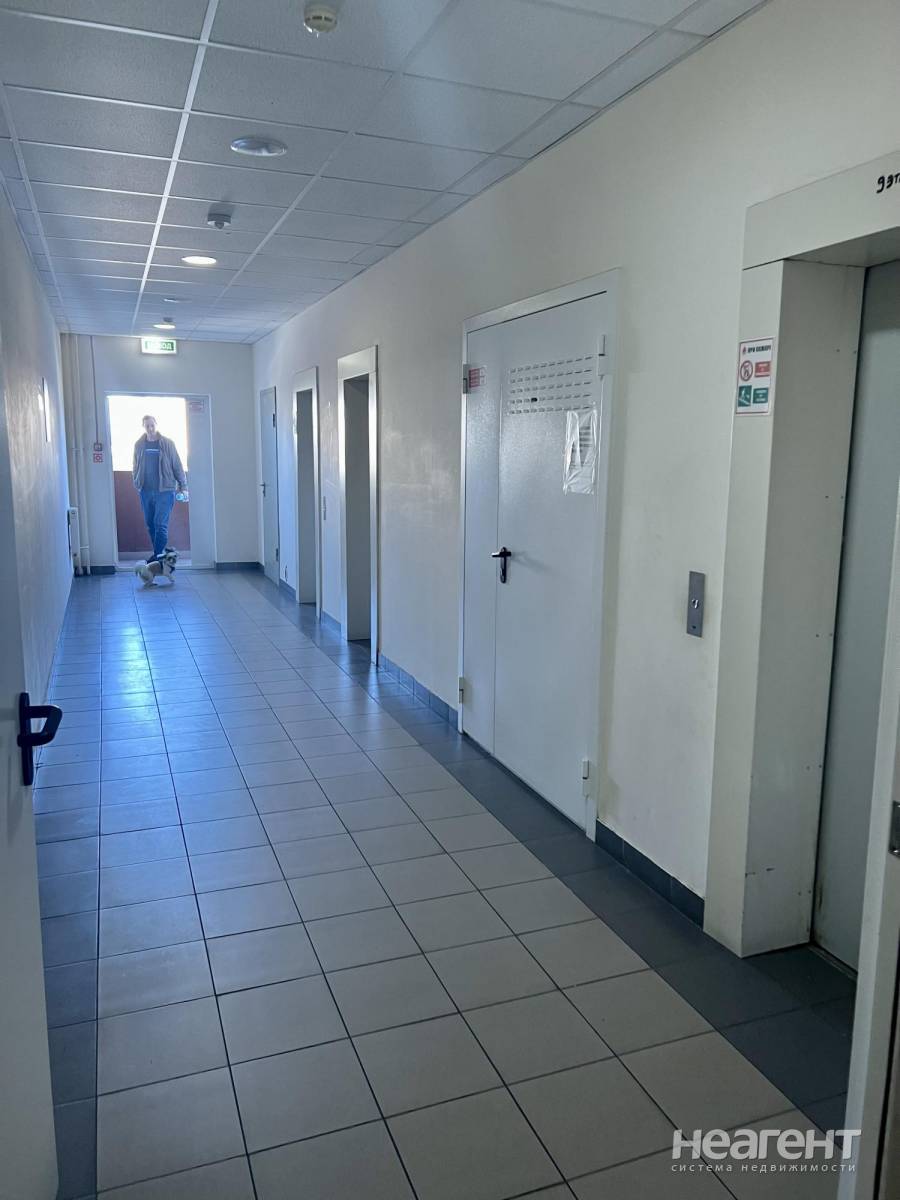 Фотография №2