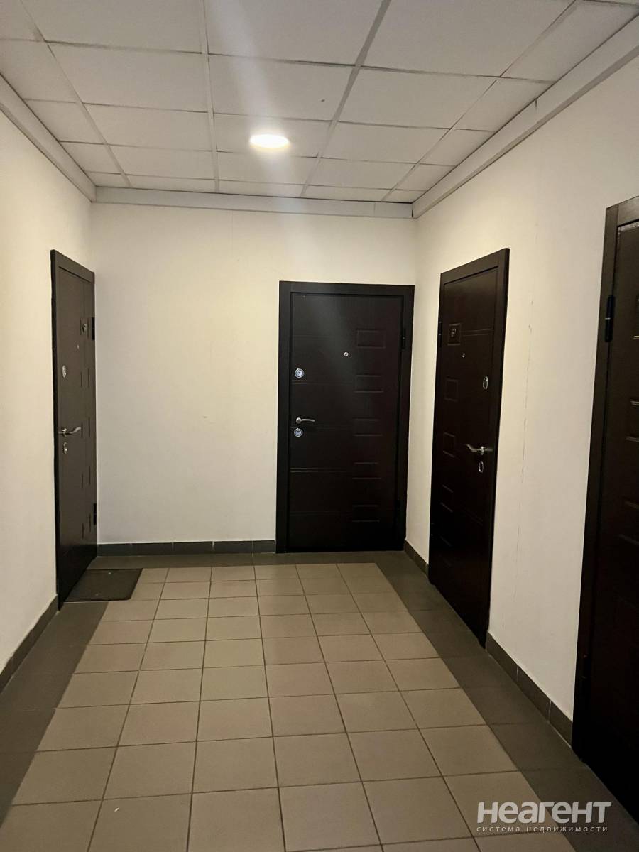 Фотография №3