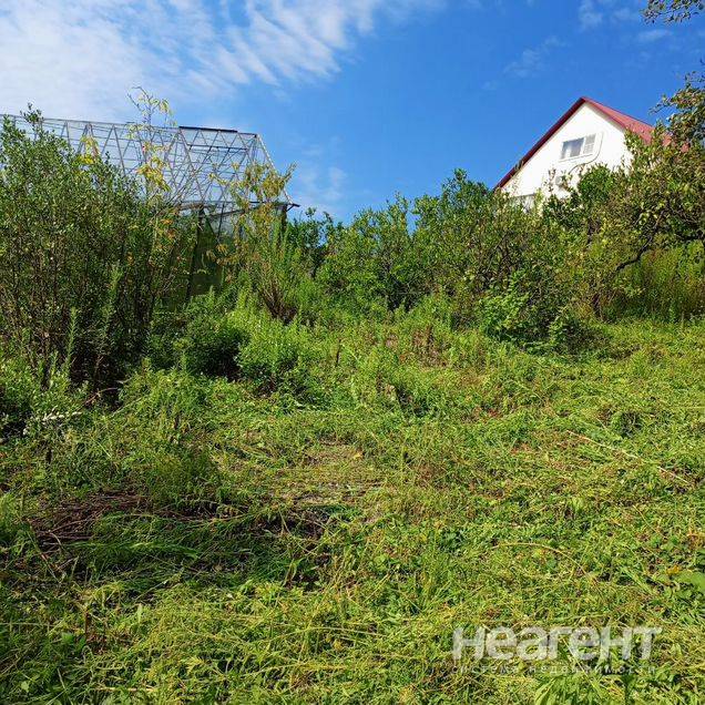 Фотография №2