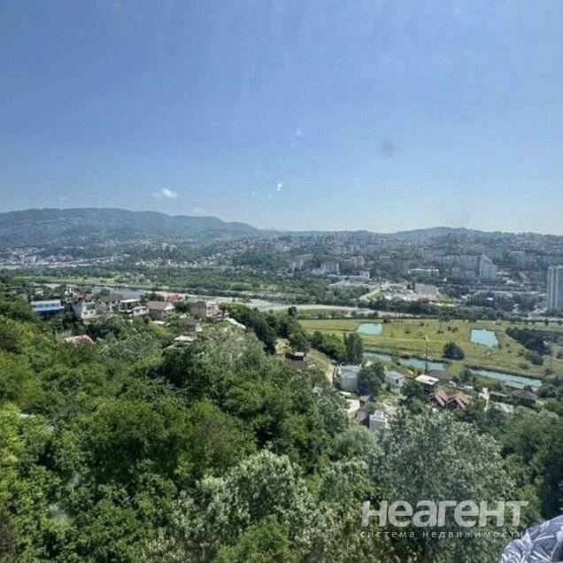 Фотография №3