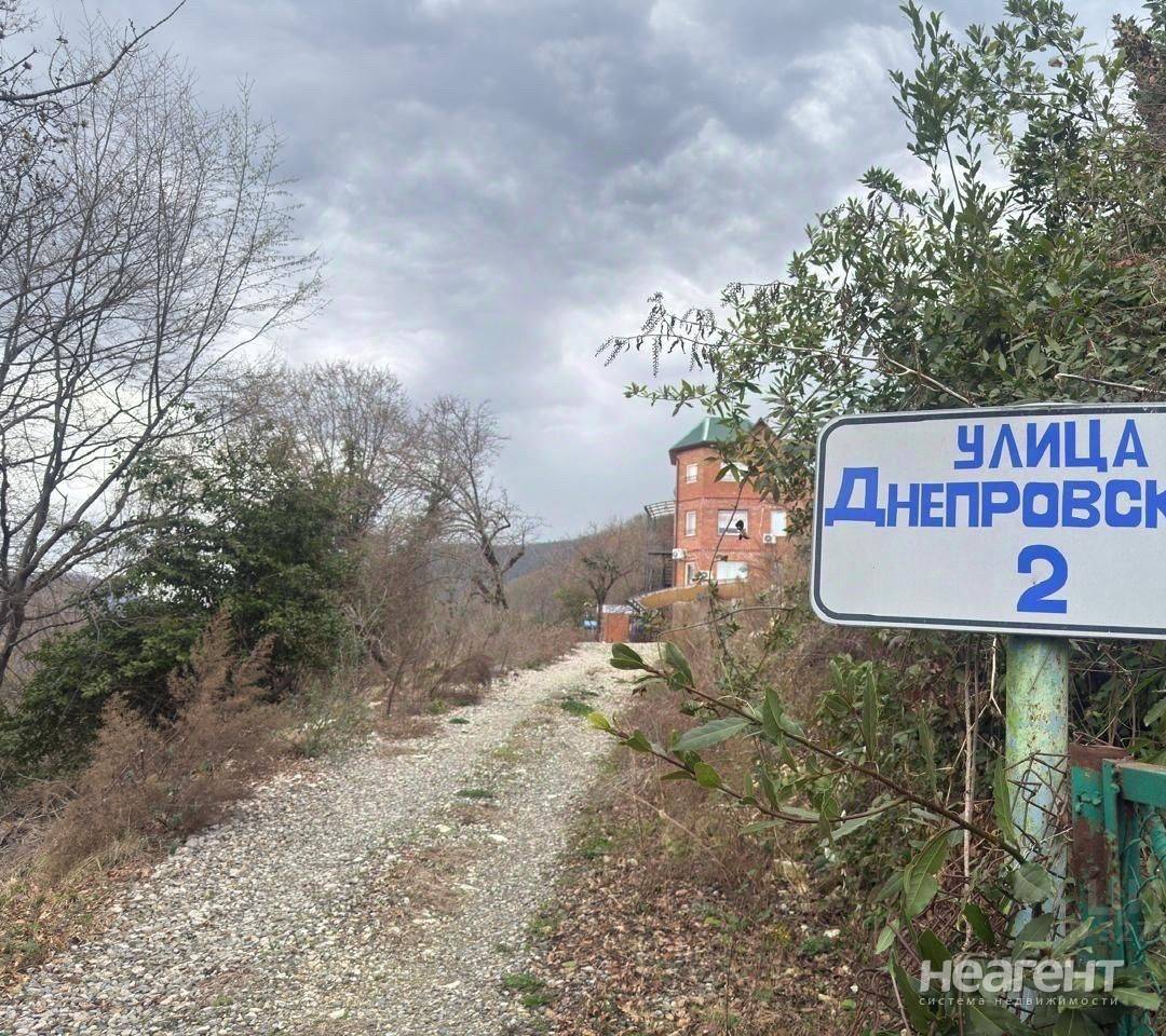 Фотография №2