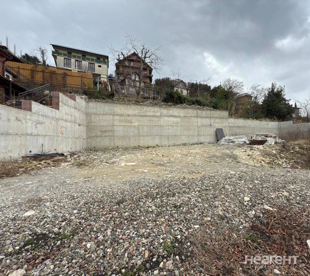 Фотография №3