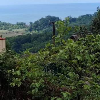 Продается Участок, 580 м²