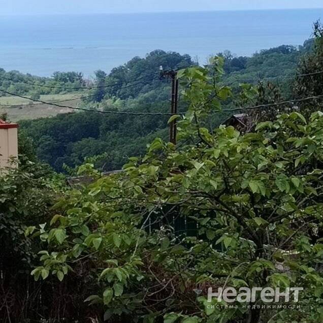 Фотография №2