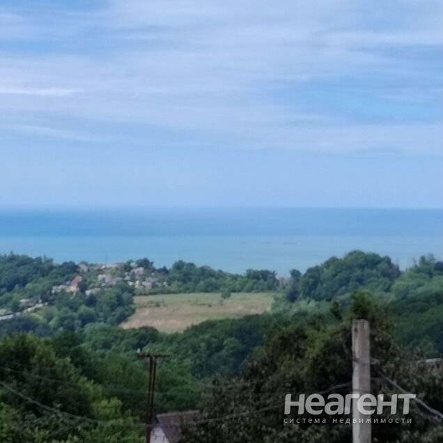 Фотография №3