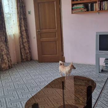 Сдается Дом, 70 м²