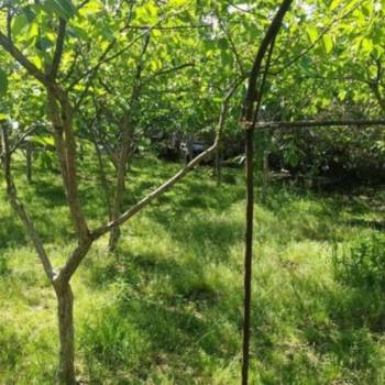 Продается Участок, 650 м²