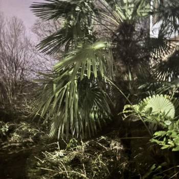 Сдается 1-комнатная квартира, 41,6 м²