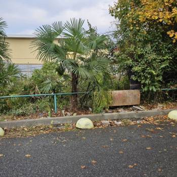 Продается Участок, 300 м²