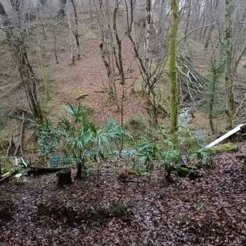 Продается Дом, 118 м²