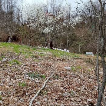 Продается Участок, 600 м²