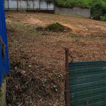 Продается Участок, 52500 м²