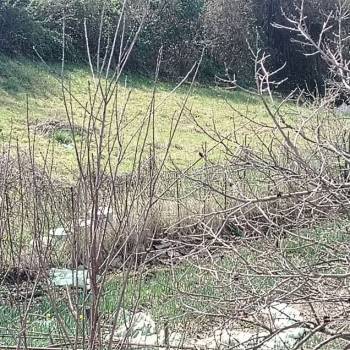 Продается Участок, 500 м²