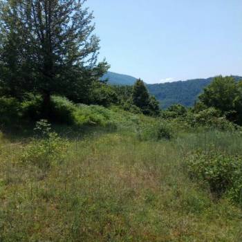 Продается Участок, 1700 м²