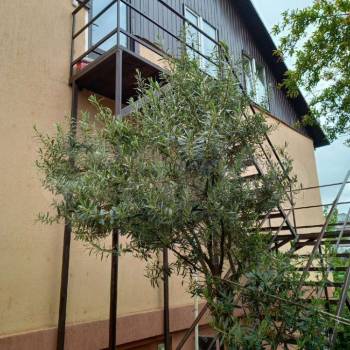 Сдается 2-х комнатная квартира, 33 м²