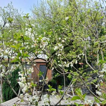 Продается Дом, 46,8 м²