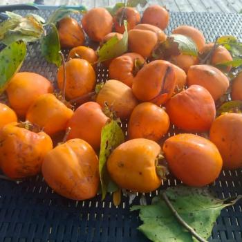 Продается Дом, 46,8 м²