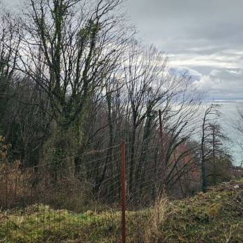 Продается Участок, 420 м²