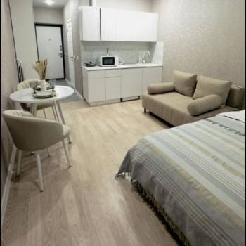 Сдается 1-комнатная квартира, 27,8 м²