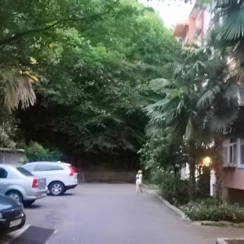 Сдается 2-х комнатная квартира, 52 м²