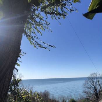 Продается Участок, 350 м²