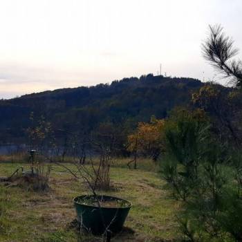 Продается Участок, 1200 м²