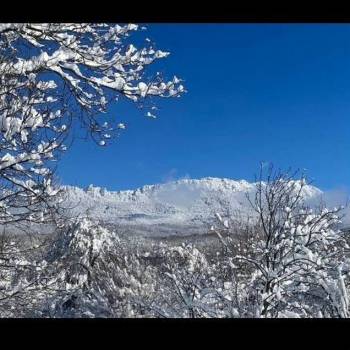 Продается Участок, 1850 м²