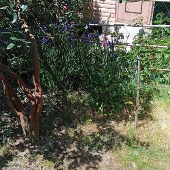 Сдается 1-комнатная квартира, 48 м²