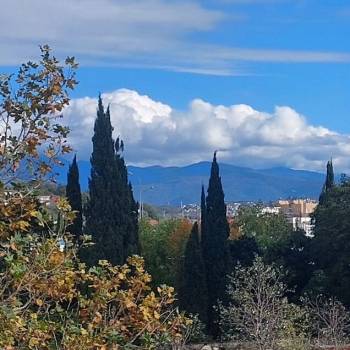 Сдается 1-комнатная квартира, 22 м²