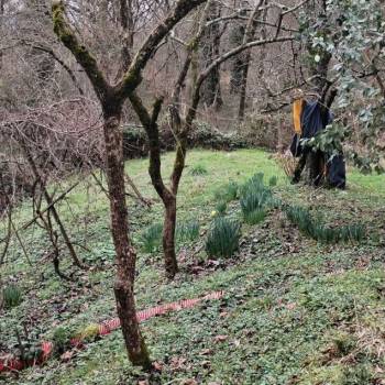 Продается Участок, 450 м²