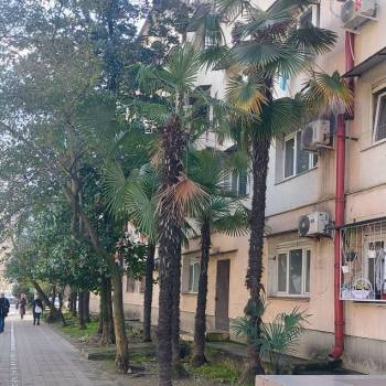 Продается 1-комнатная квартира, 18,7 м²