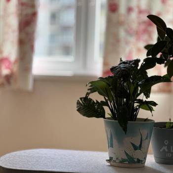 Продается 3-х комнатная квартира, 83 м²