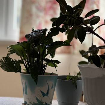 Продается 3-х комнатная квартира, 83 м²