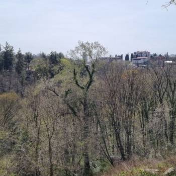 Продается Участок, 560 м²