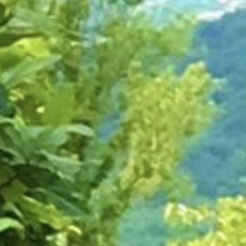 Продается Дом, 61 м²