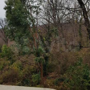 Сдается 2-х комнатная квартира, 54 м²