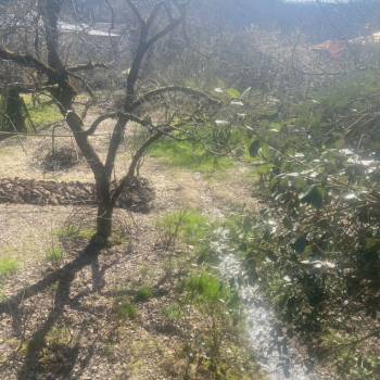 Продается Участок, 1000 м²