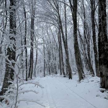 Продается Участок, 20000 м²