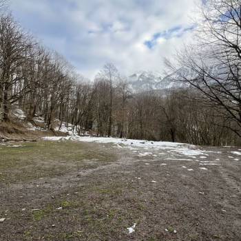 Продается Участок, 20000 м²