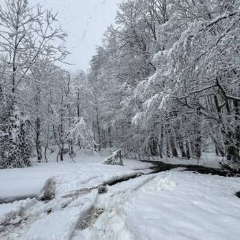 Продается Участок, 20000 м²