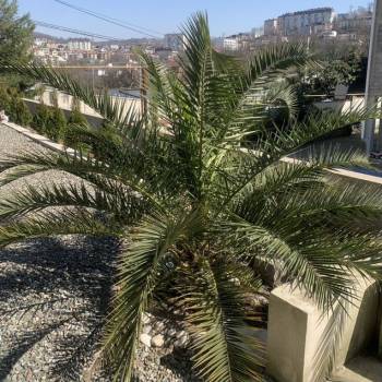 Сдается Дом, 300 м²