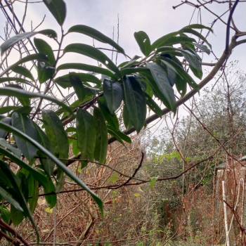 Продается Участок, 2400 м²