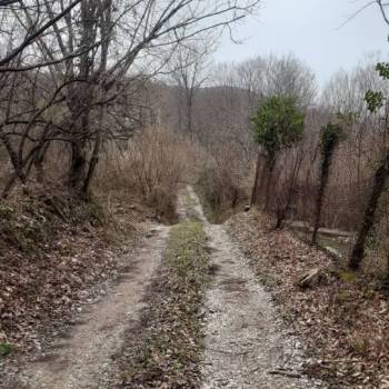 Продается Участок, 500 м²