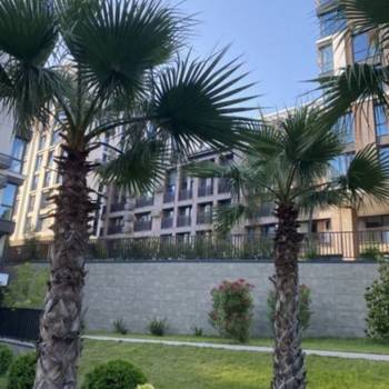 Продается 1-комнатная квартира, 24,2 м²