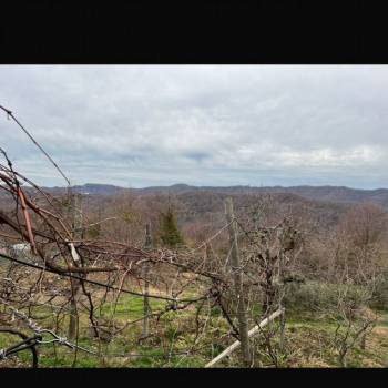 Продается Участок, 1200 м²