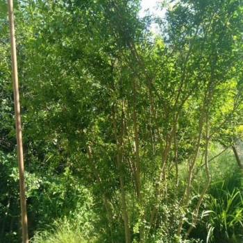 Продается Участок, 600 м²