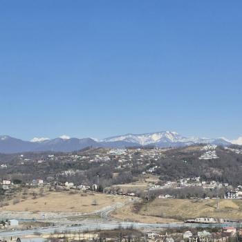 Сдается 1-комнатная квартира, 23 м²