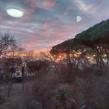 Сдается Комната, 12 м²