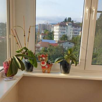 Продается 2-х комнатная квартира, 67,1 м²